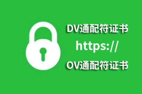 DV通配符SSL证书和OV通配符SSL证书有什么区别