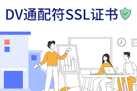 域名开启SSL DV通配符证书低价推荐